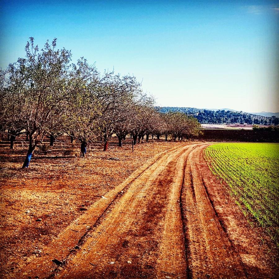 Kibbutz Nachshon Bed & Breakfast Eksteriør bilde