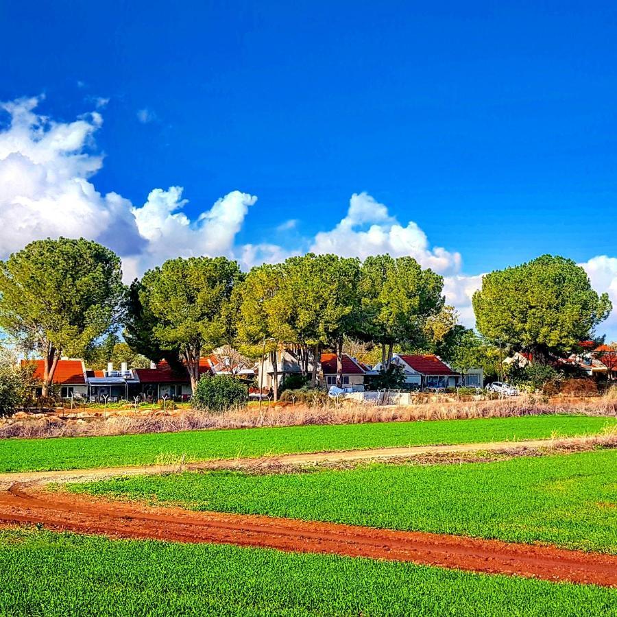 Kibbutz Nachshon Bed & Breakfast Eksteriør bilde