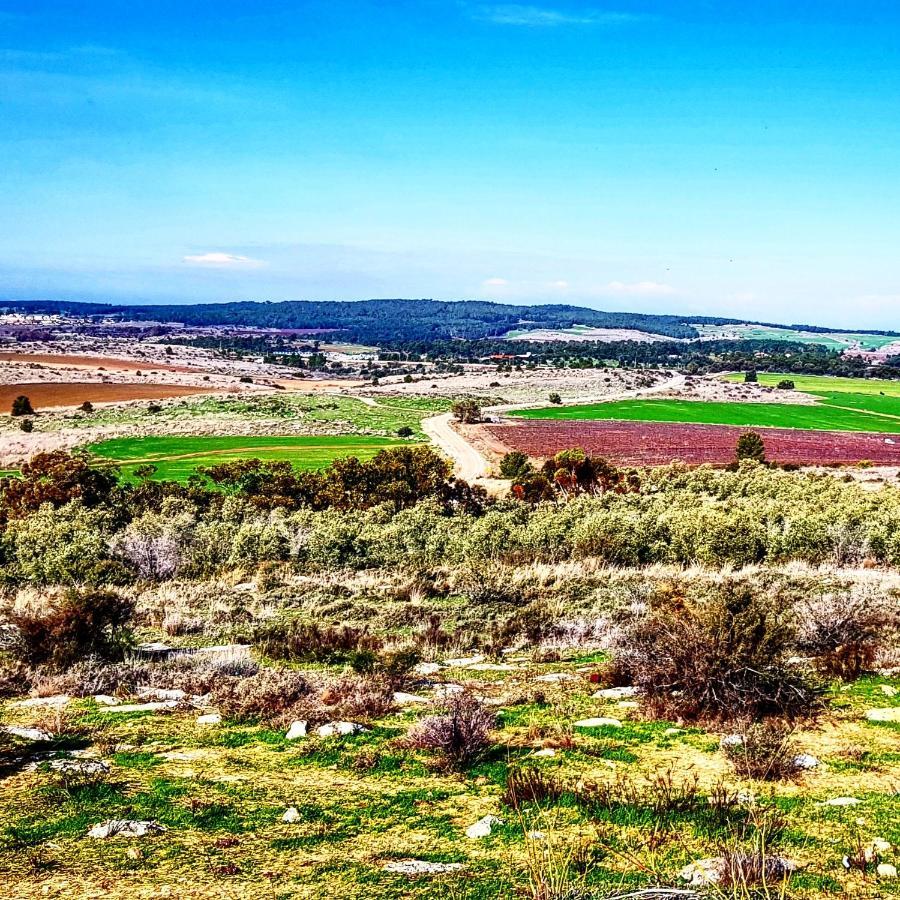 Kibbutz Nachshon Bed & Breakfast Eksteriør bilde