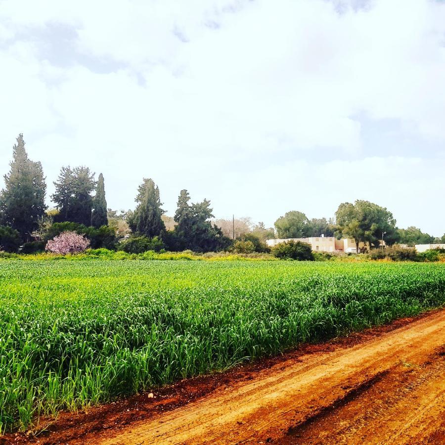 Kibbutz Nachshon Bed & Breakfast Eksteriør bilde